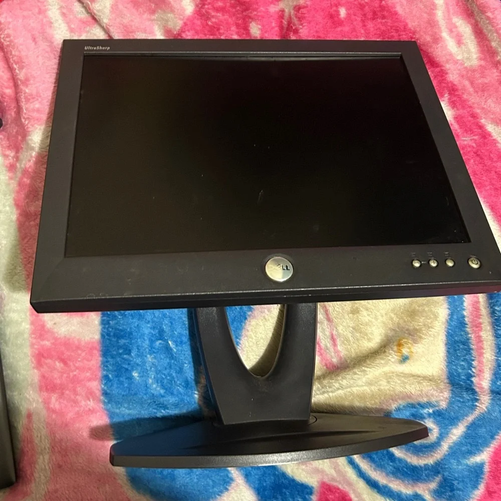 Dell model # 1504FP 15